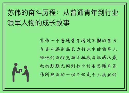 苏伟的奋斗历程：从普通青年到行业领军人物的成长故事