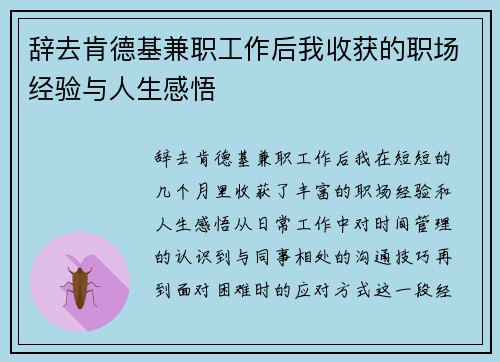 辞去肯德基兼职工作后我收获的职场经验与人生感悟