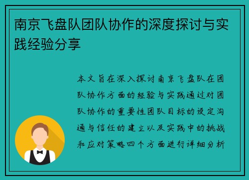 南京飞盘队团队协作的深度探讨与实践经验分享