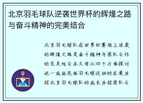 北京羽毛球队逆袭世界杯的辉煌之路与奋斗精神的完美结合