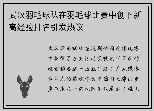 武汉羽毛球队在羽毛球比赛中创下新高经验排名引发热议